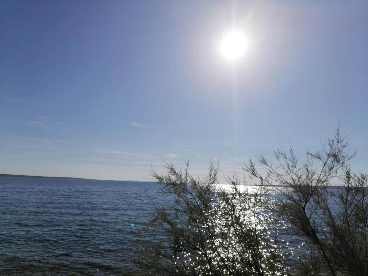 Bella Mare Διαμέρισμα Mandre Εξωτερικό φωτογραφία